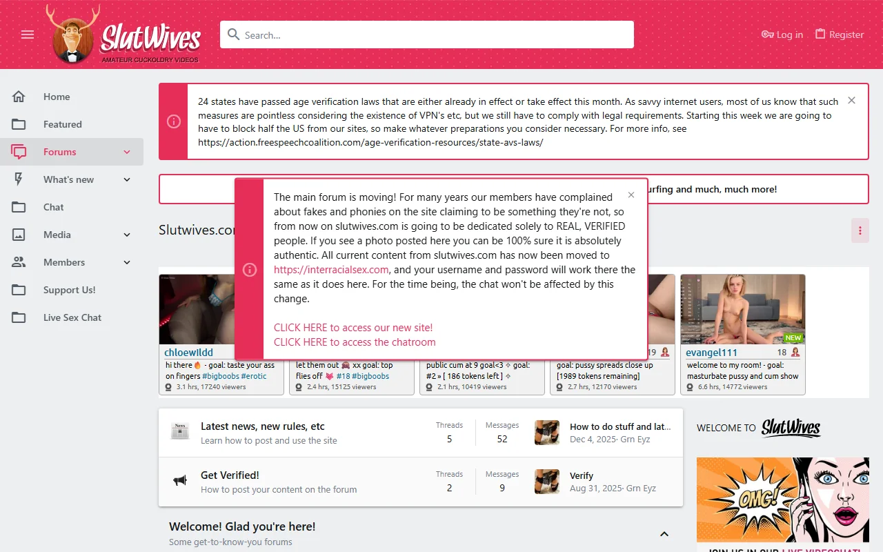 Screenshot of Slutwives